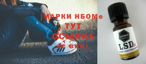 гашик Майский