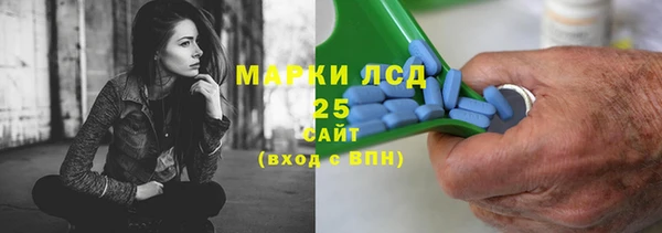 гашик Майский