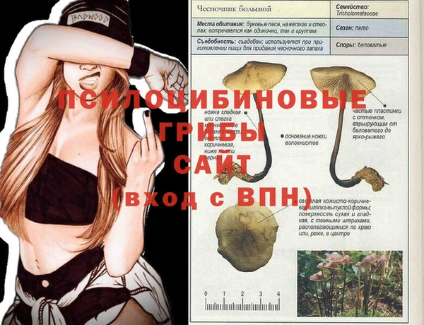 Альфа ПВП Магас