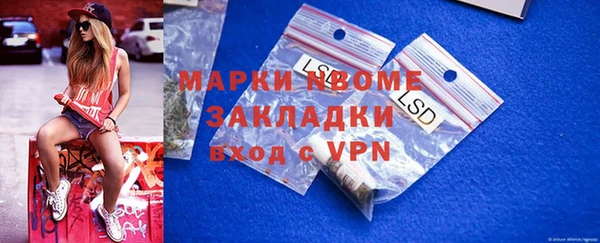 стаф Чекалин