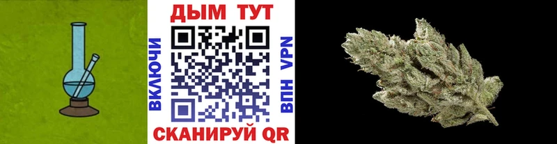 Бошки марихуана White Widow  что такое   Москва 